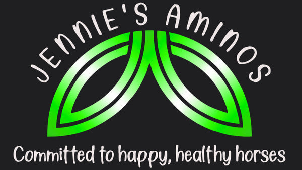 amino acids for horses