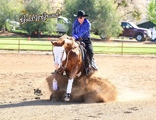 Joint Formula - Jennie's Aminos - amino acids for horses